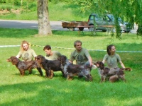 Nejlepší chovatelská skupina - Axally