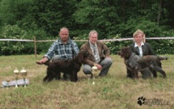 Vlevo Ch. Aki Sobtick revr, vpravo Ch. Archie Any-Bon