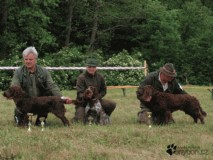 Vlevo Don od Tlskho mlna, uprosted Dona od Tlskho mlna, vpravo Donar vom Zerling