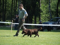 Nejlep vetern BOV - Pat z Vtrn paseky