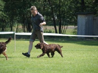 Nejlep dorost - Funny Any-Bon