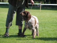 Nejlep mlad BOJ - Utah z Harachu