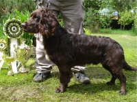 V�t�z plemene BOB - Grot z Wdeckiego Parku