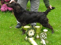 Charley z Radinova dvora