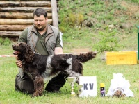 KV, BOB - Ale�ek Bohemia Jack