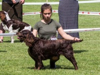 BOV - Aretha Any-Bon