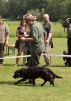 Nejlep dorost - Awa Sfora z Kasztanowej Alei